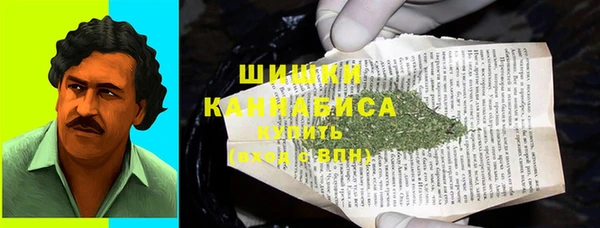 крисы Ельня