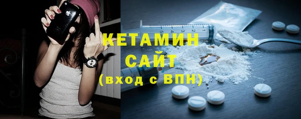 крисы Ельня