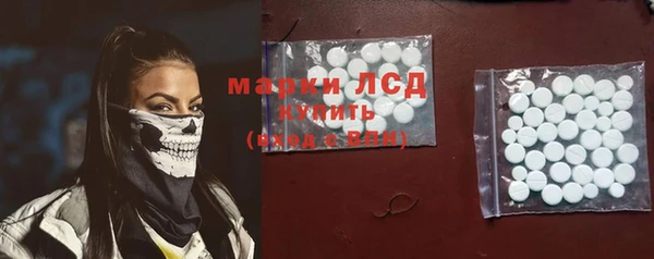 крисы Ельня