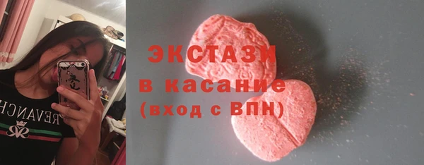 крисы Ельня
