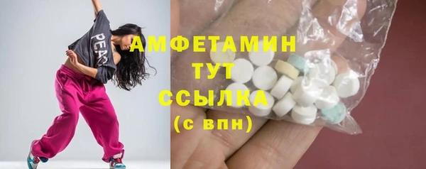 крисы Ельня