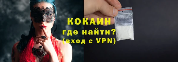 крисы Ельня