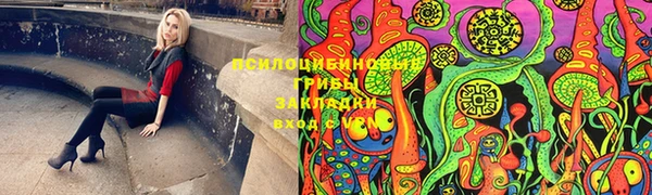 крисы Ельня