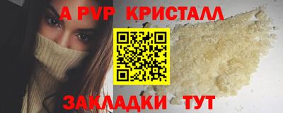 СК Новодвинск