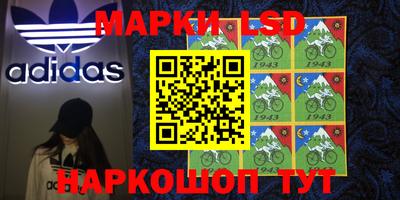 спиды Новокубанск