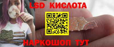 СК Новодвинск