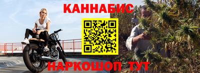 индика Новозыбков