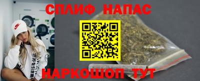индика Новозыбков