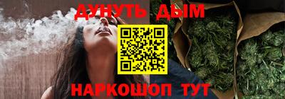 индика Новозыбков