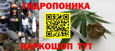 СК Новодвинск