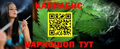 индика Новозыбков