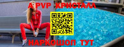 СК Новодвинск