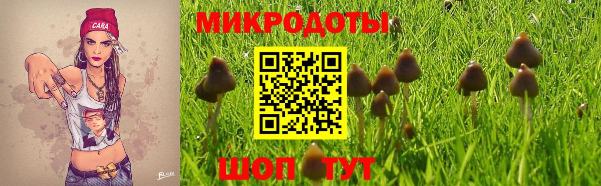 Псилоцибиновые грибы Psilocybe Похвистнево