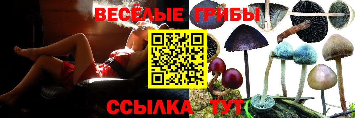 Галлюциногенные грибы MAGIC MUSHROOMS  Вход с VPN  Похвистнево 